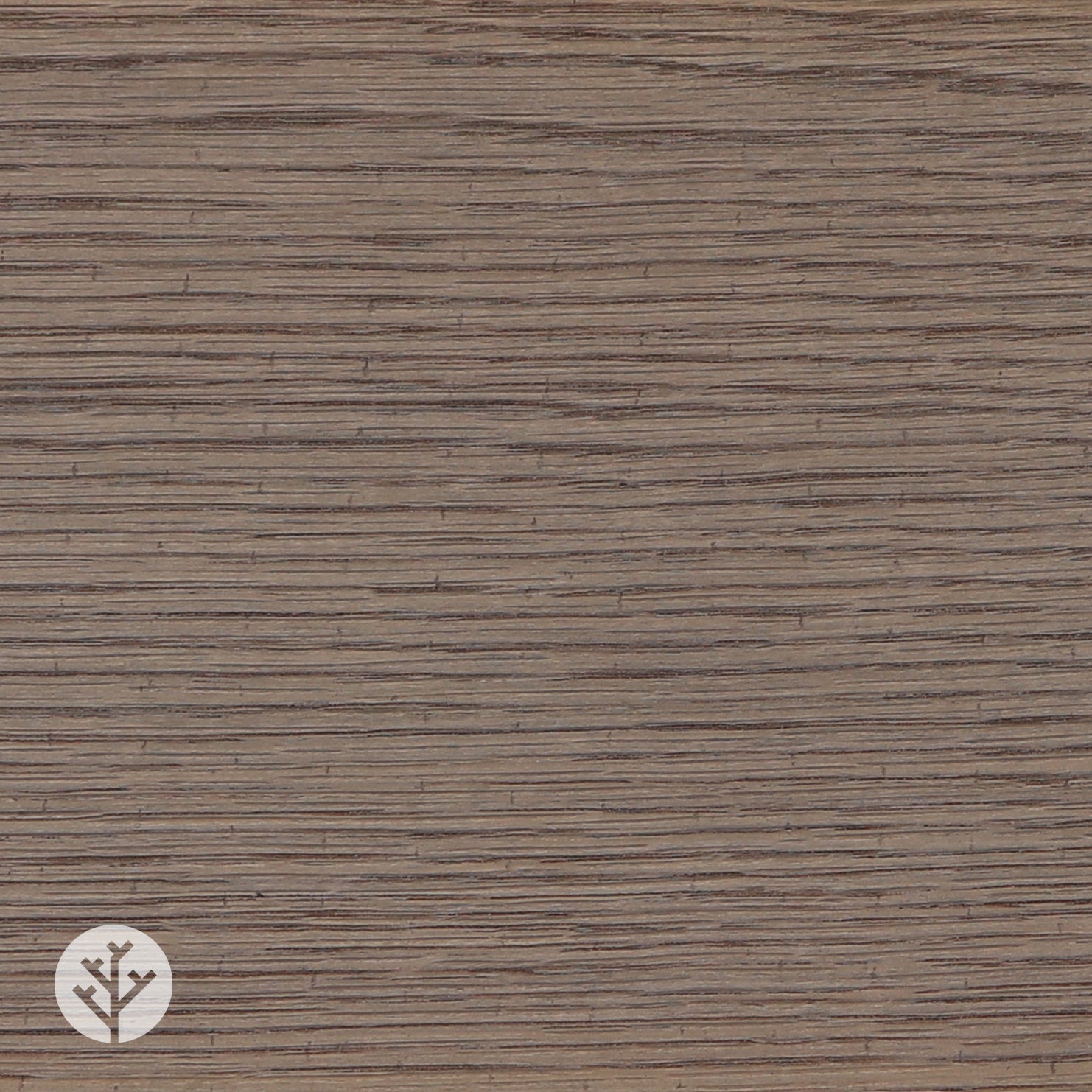 Grey Oak Wood Veneer