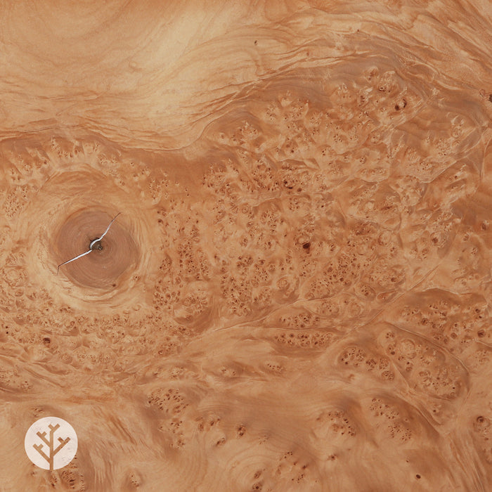 Maple Cluster/Burl Wood Veneer