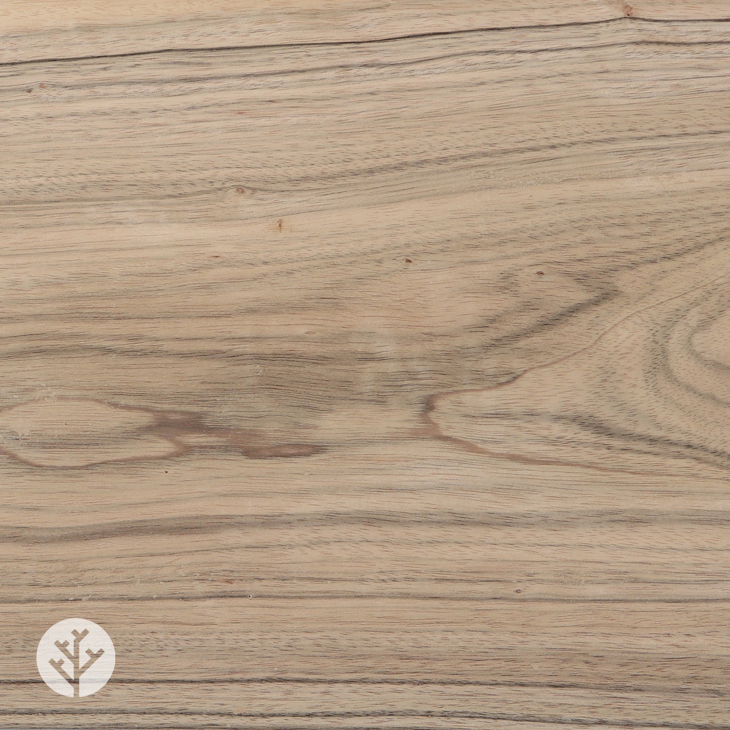 Paldao Wood Veneer
