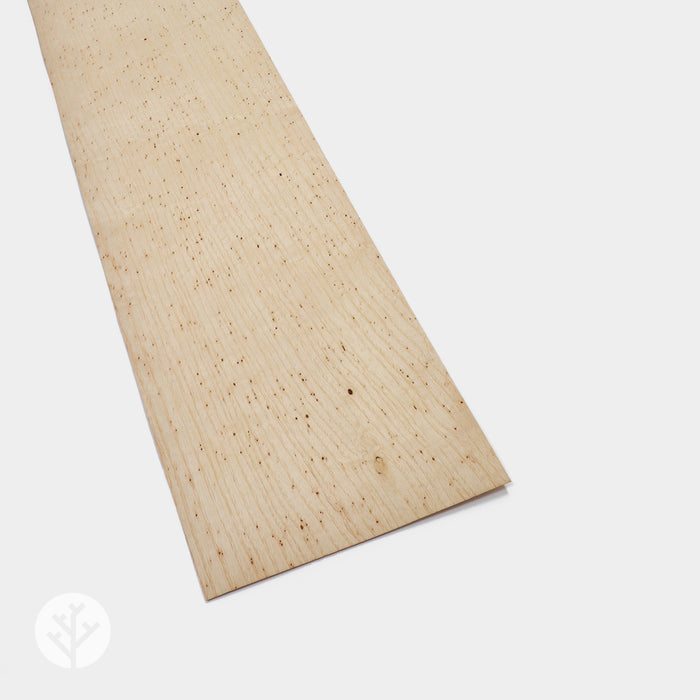 Wormy Ash Wood Veneer