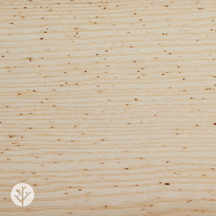 Wormy Ash Wood Veneer