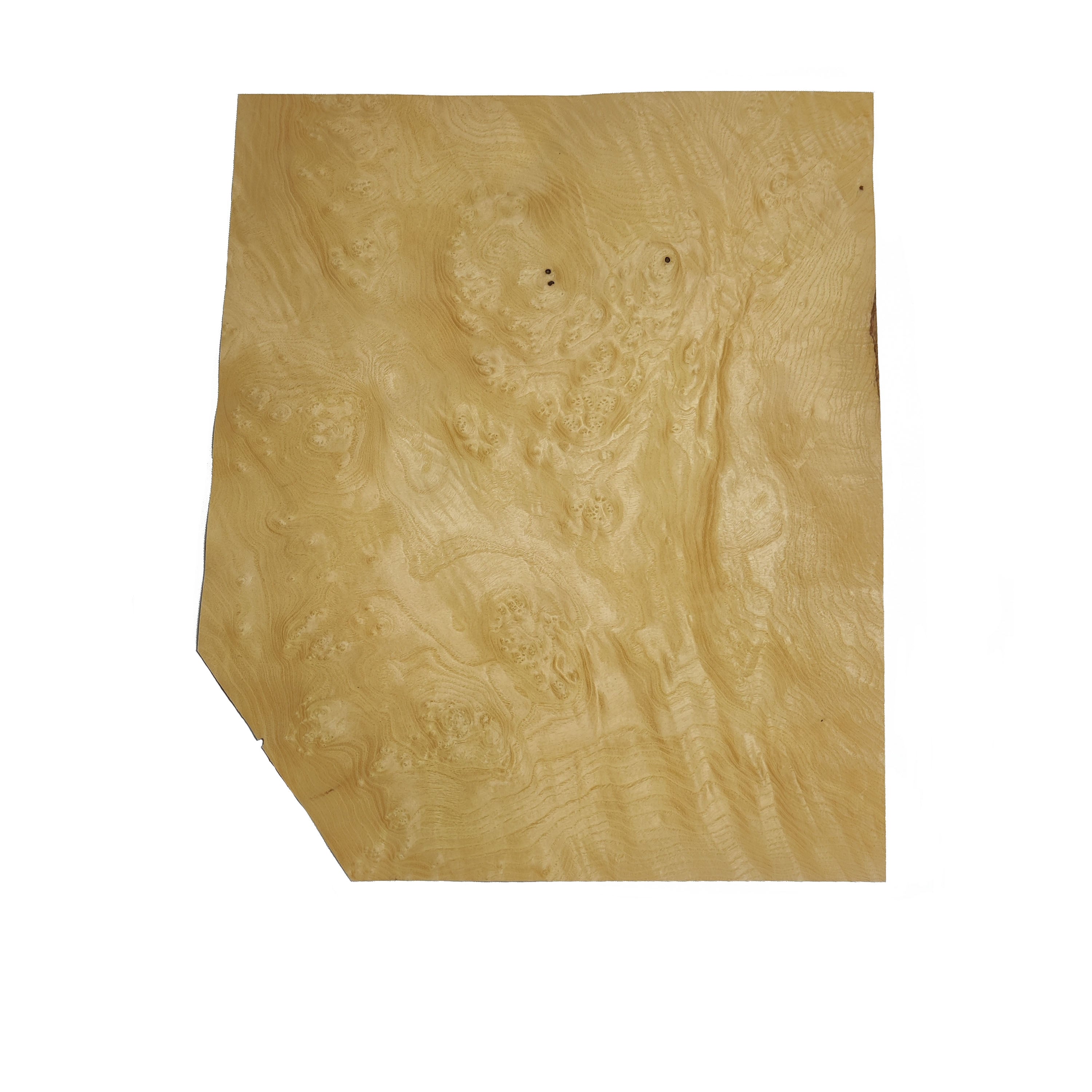 Ash Burl Veneer