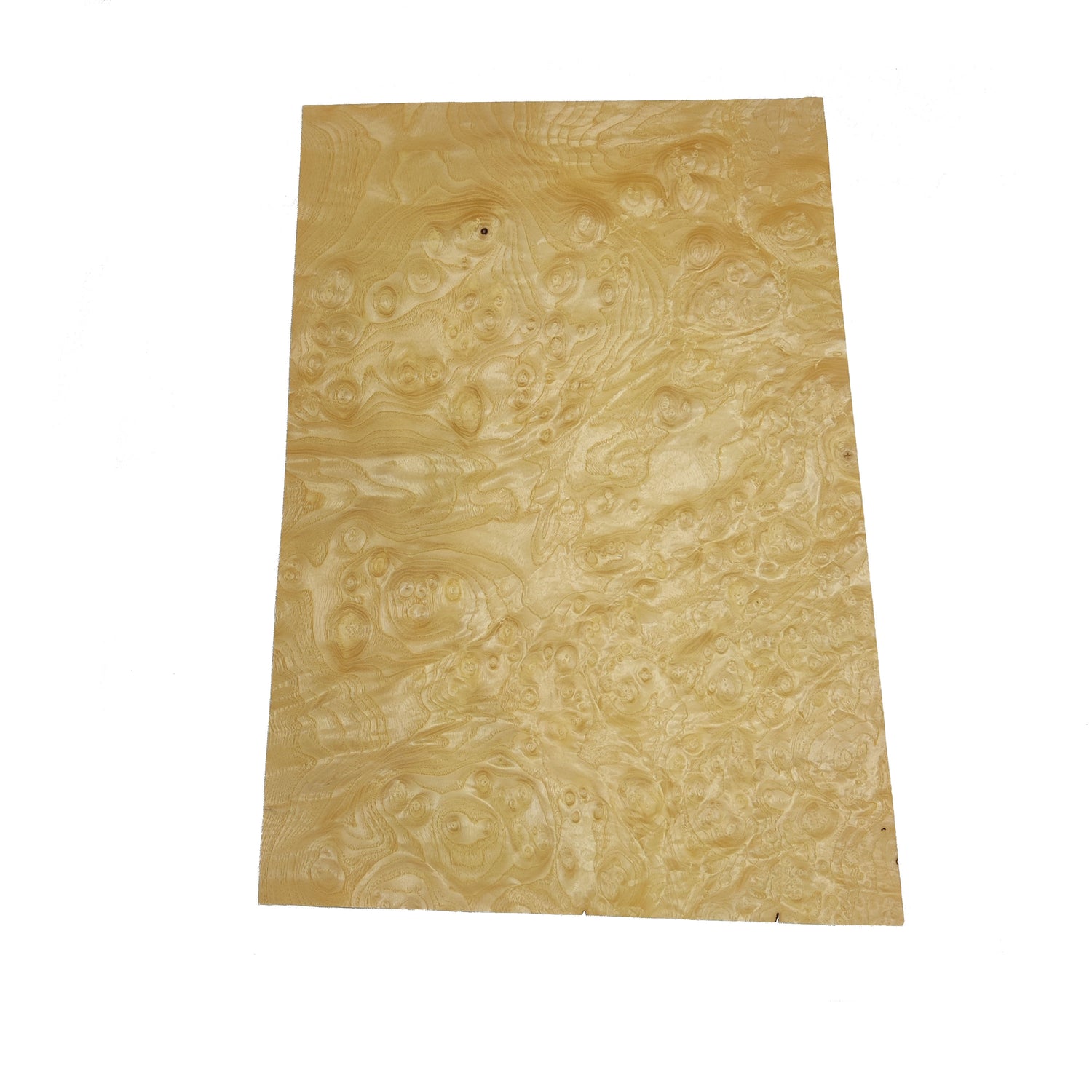 Ash Burl Veneer