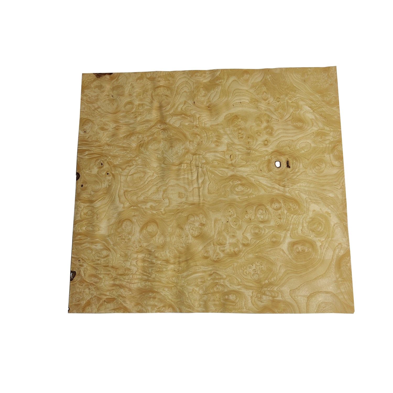 Ash Burl Veneer