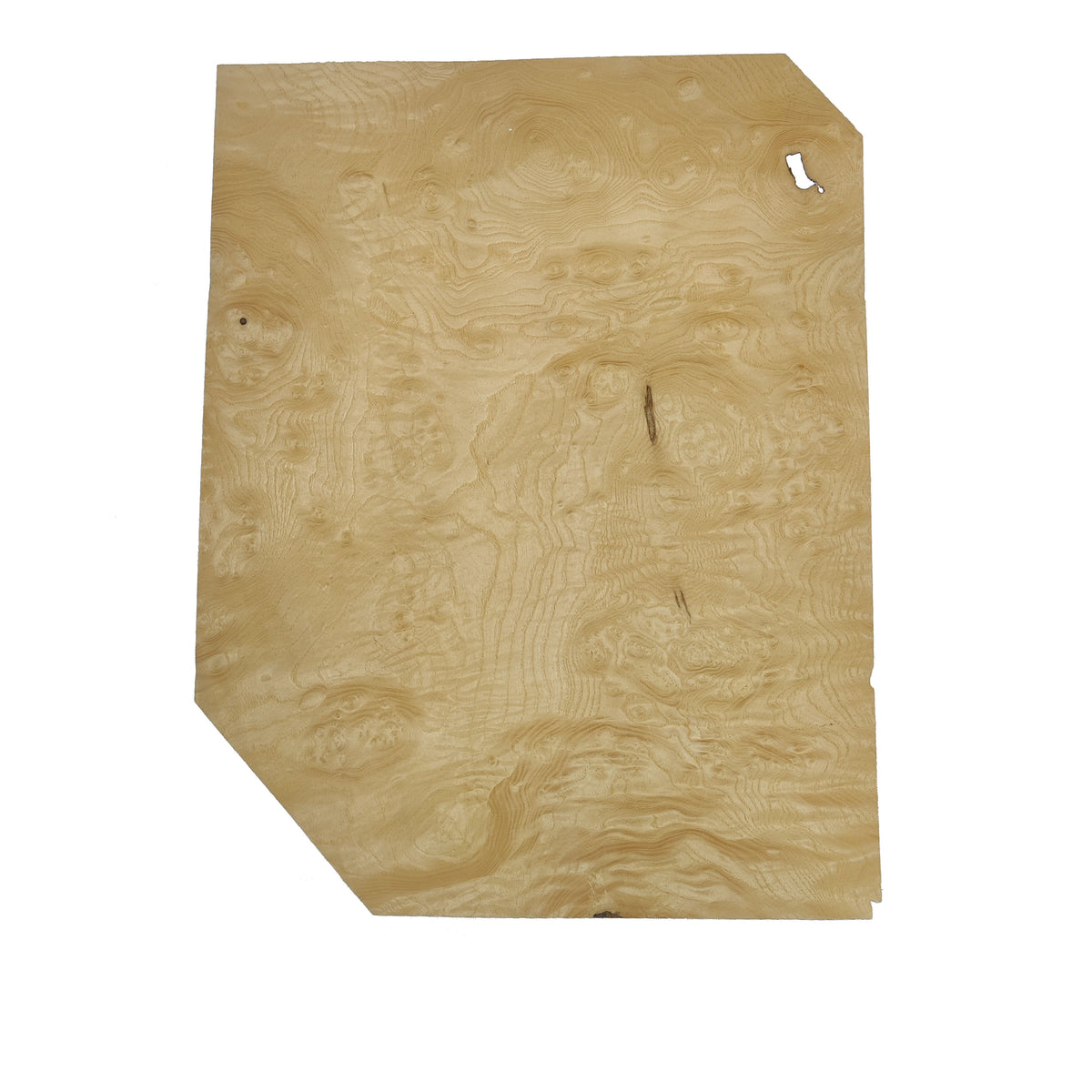 Ash Burl Veneer