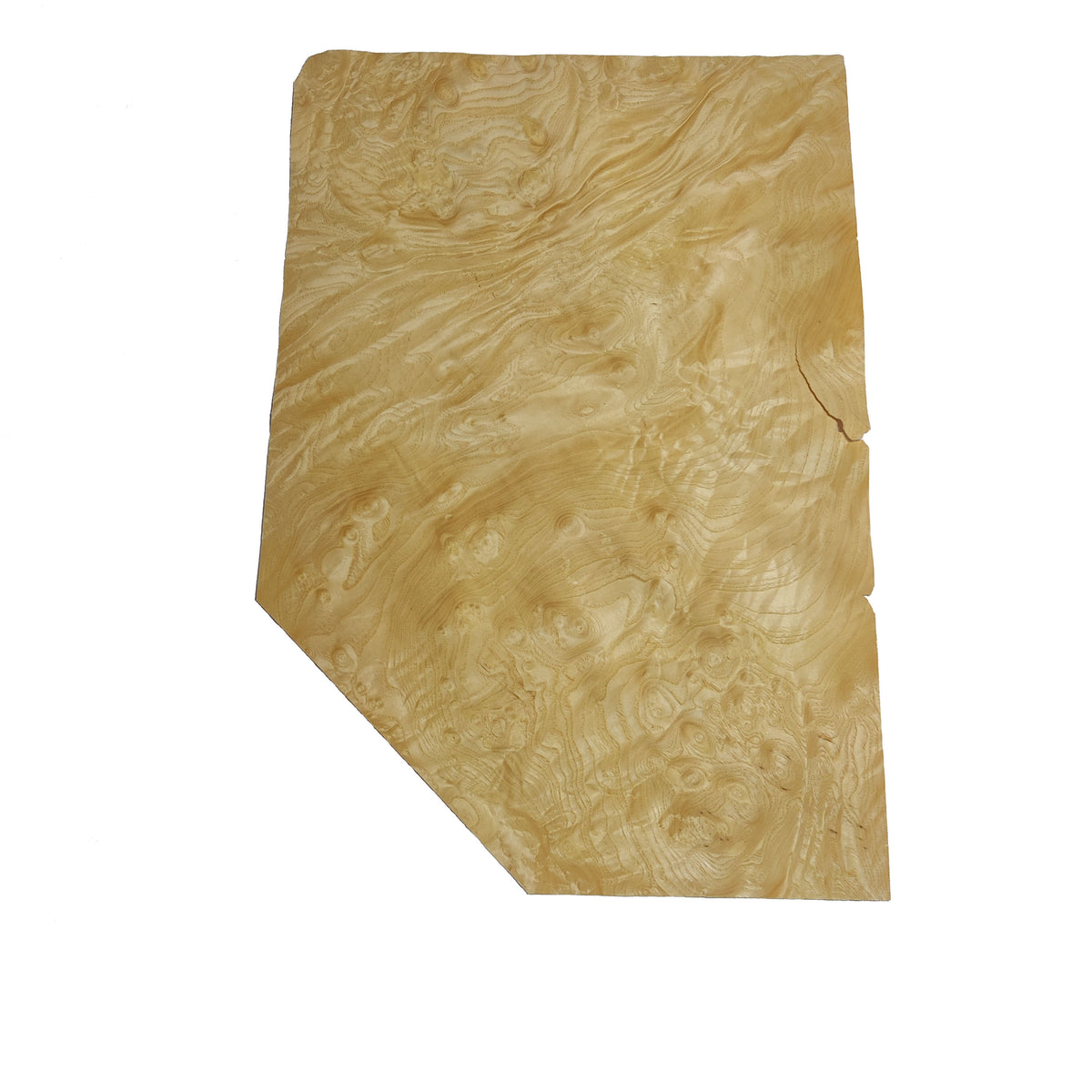 Ash Burl Veneer
