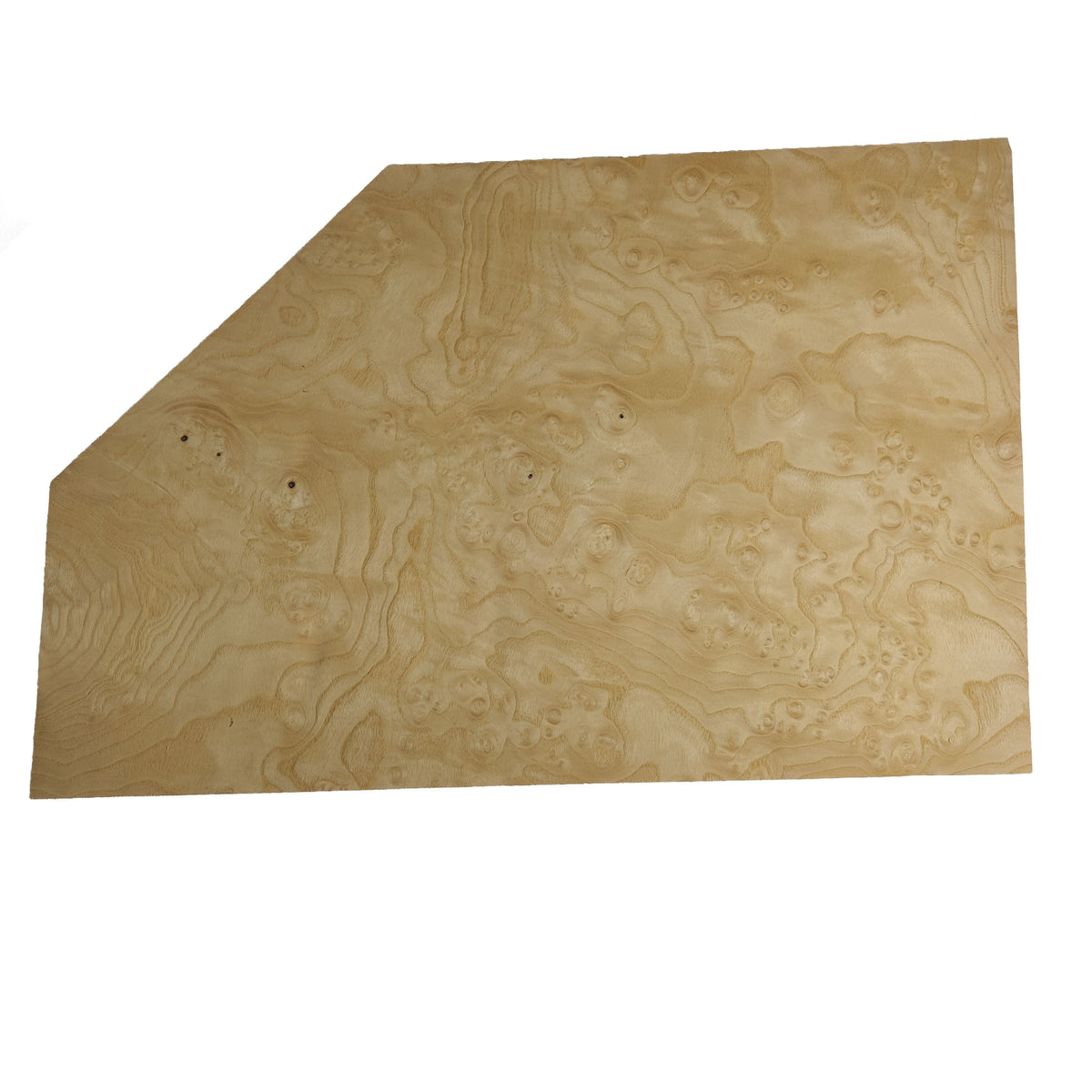Ash Burl Veneer