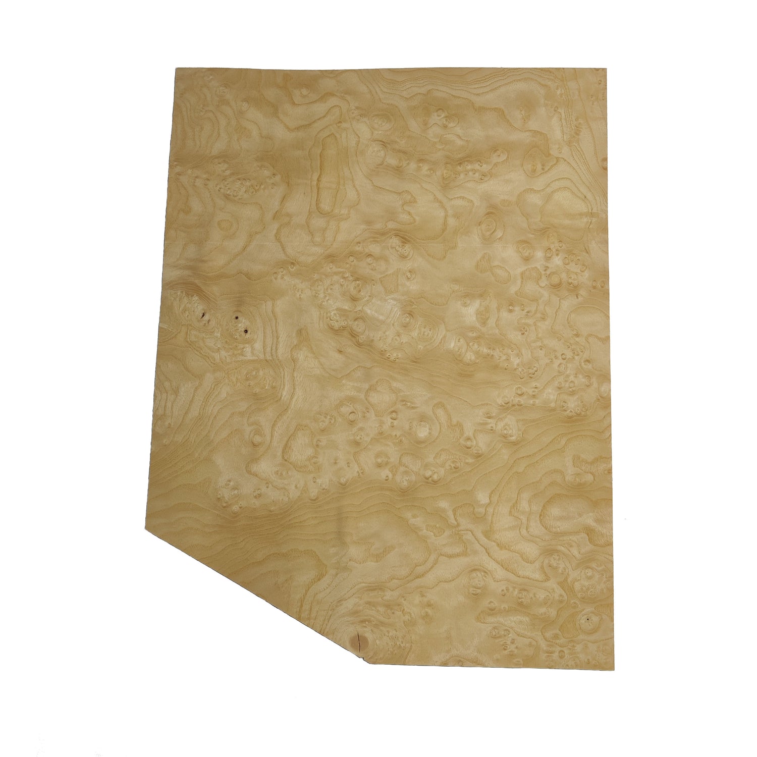 Ash Burl Veneer