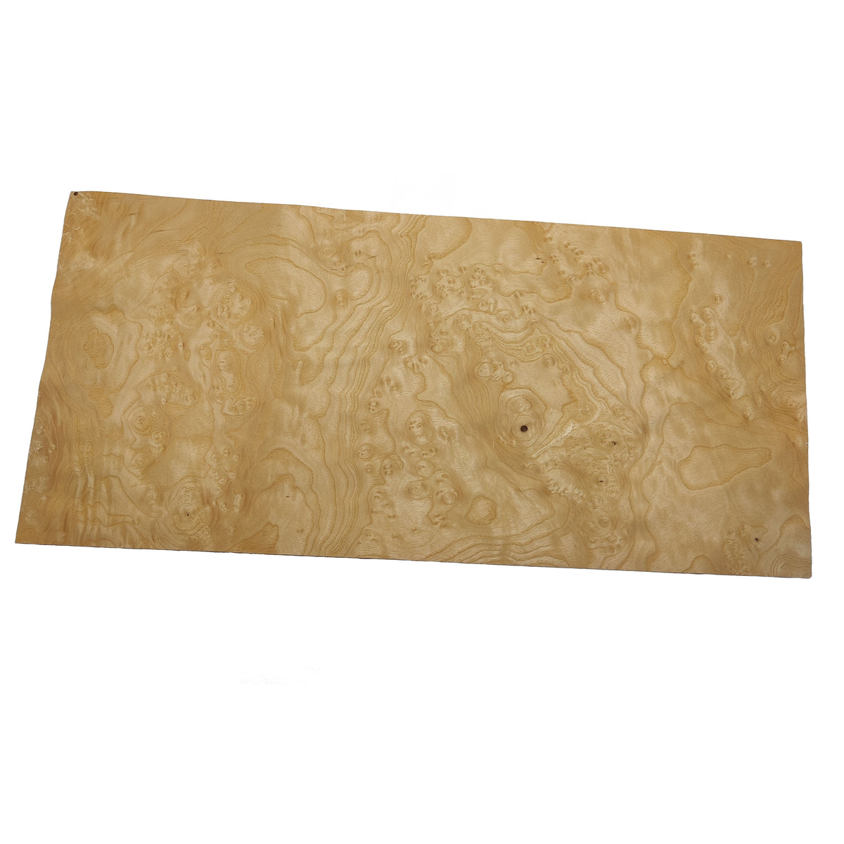 Ash Burl Veneer