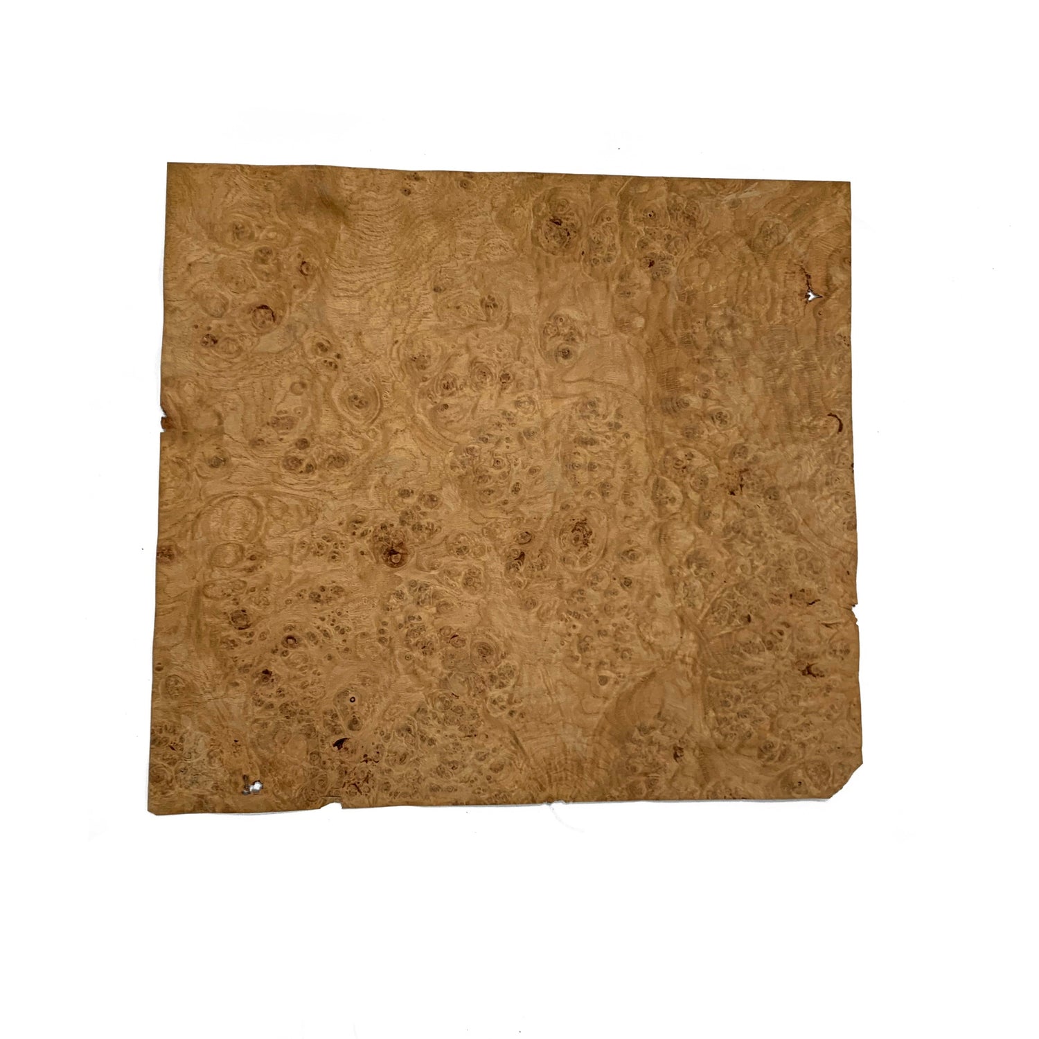 Oak Burl Wood Veneer