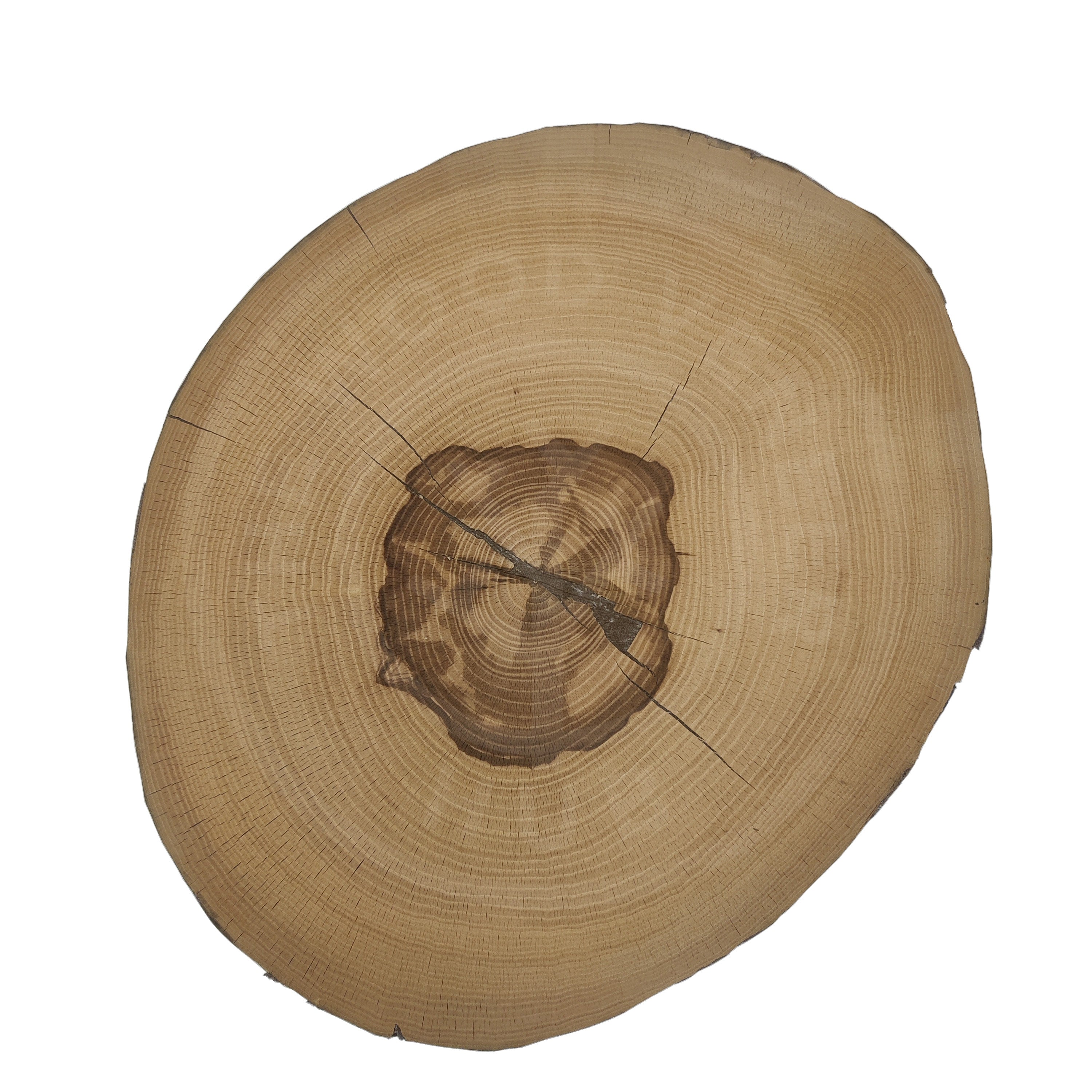 Sycamore End Grain Wood Veneer