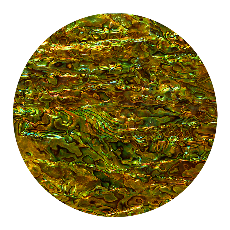 Abalone Paua Peridot Green Shell Veneer