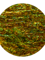 Abalone Paua Peridot Green Shell Veneer
