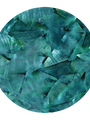 White Mother of Pearl Turquoise Green Shell Veneer