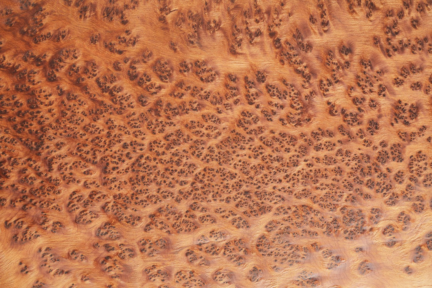 Thuya Burl Wood Veneer