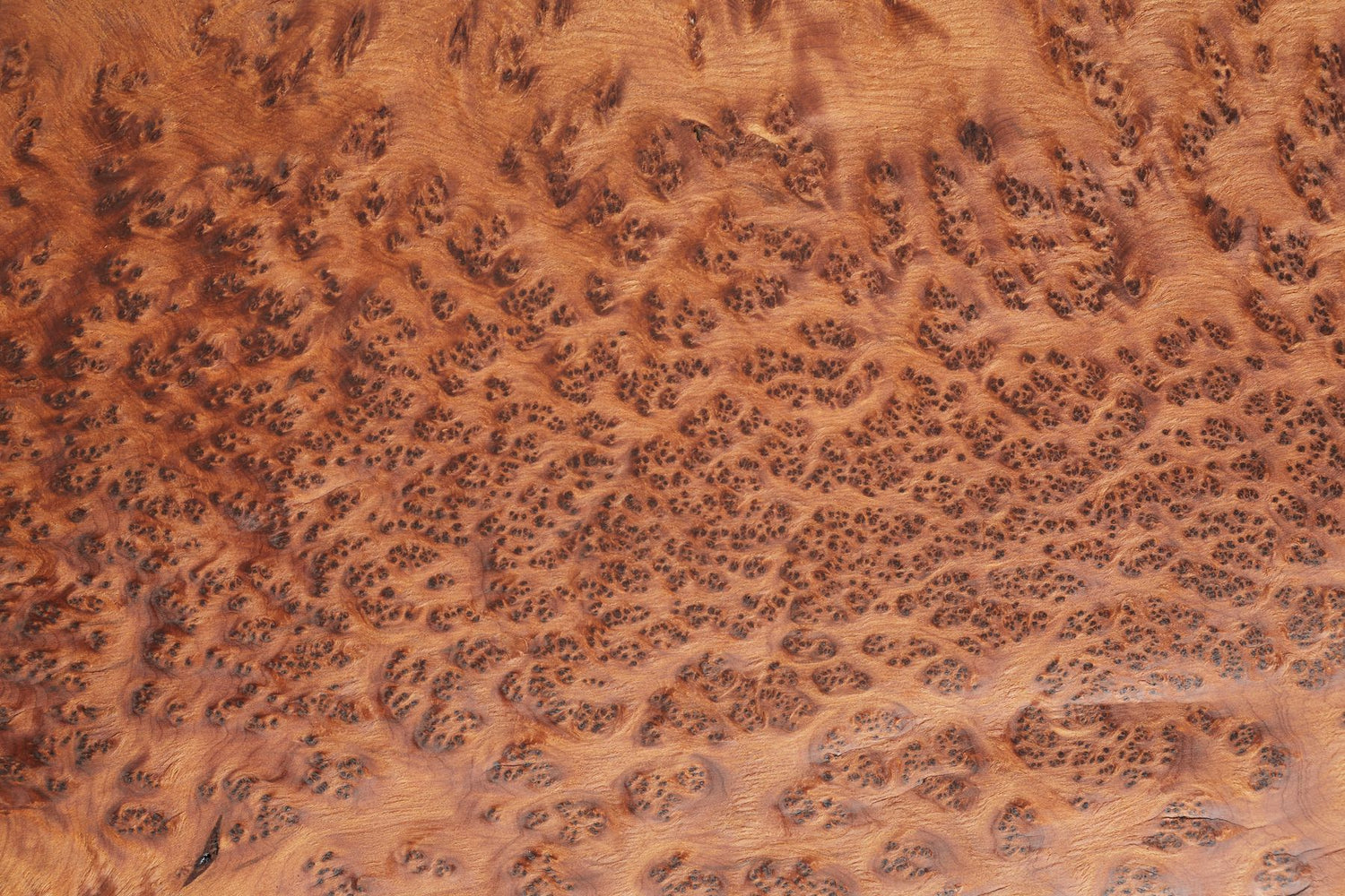 Thuya Burl Wood Veneer