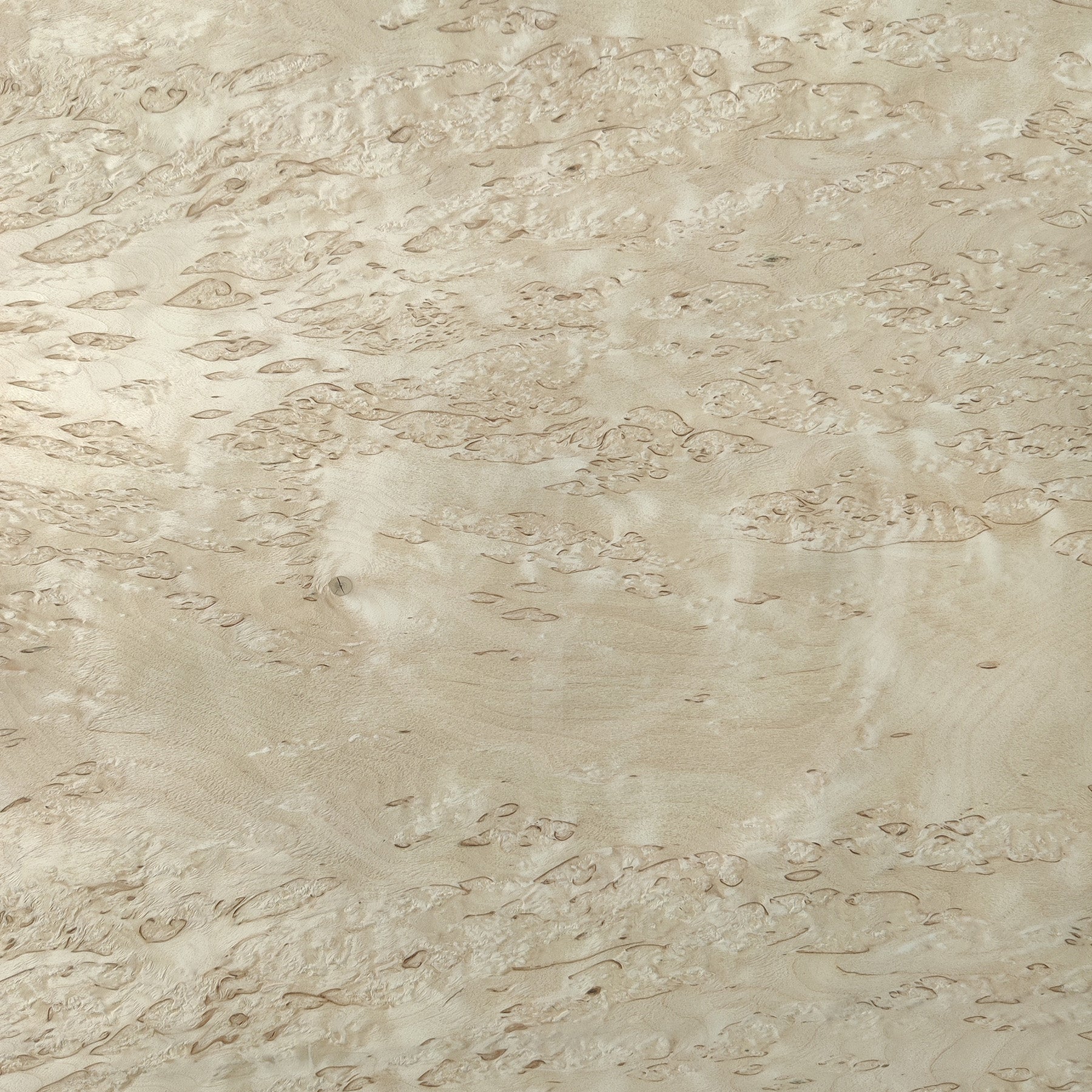 Birch Burl Wood Veneer