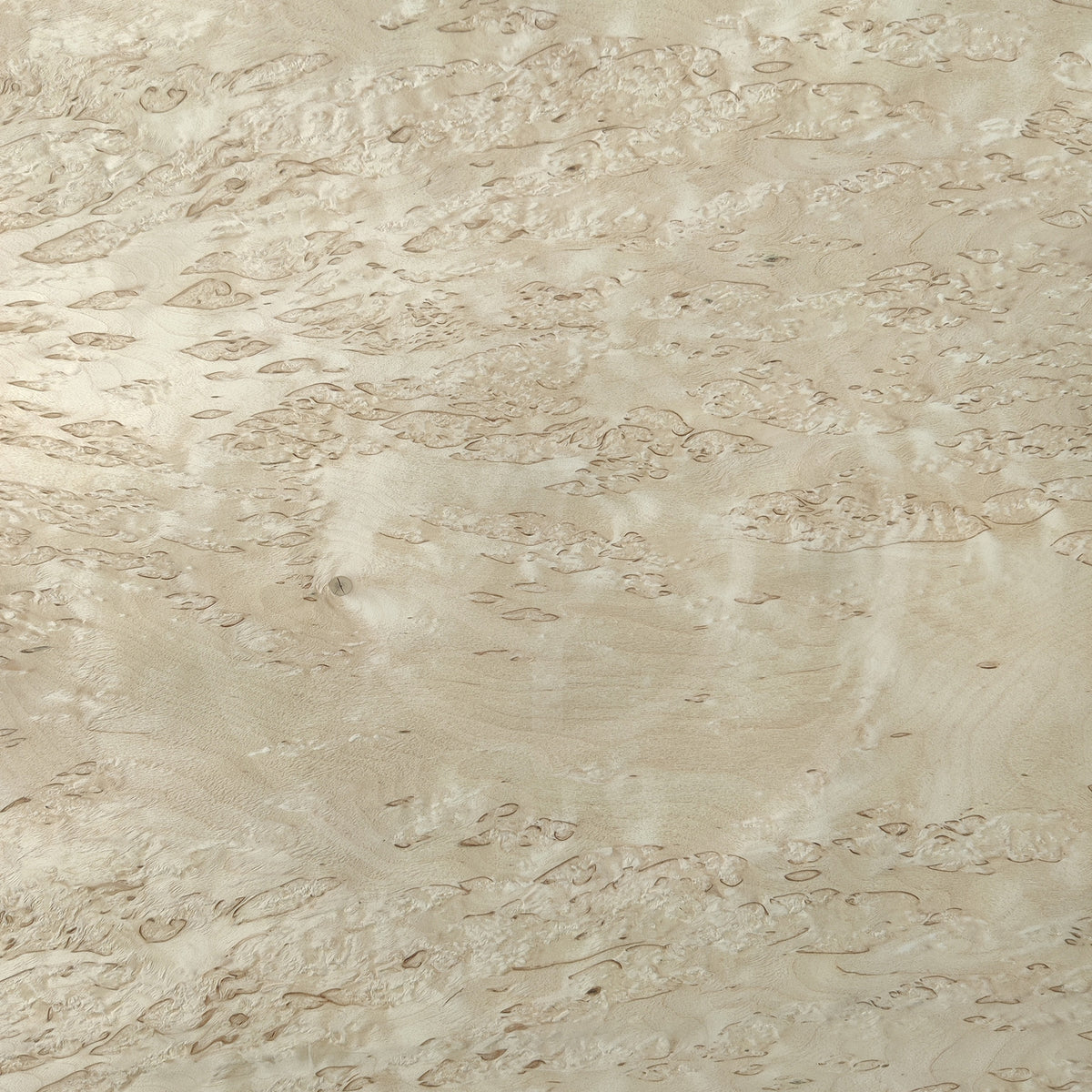 Birch Burl Wood Veneer