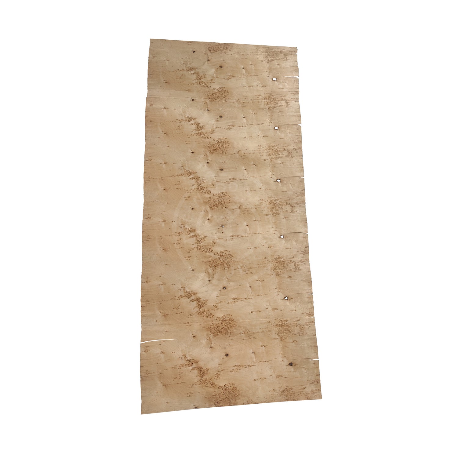 Birch Burl Wood Veneer