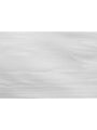 White Tulipwood Coloured Wood Veneer