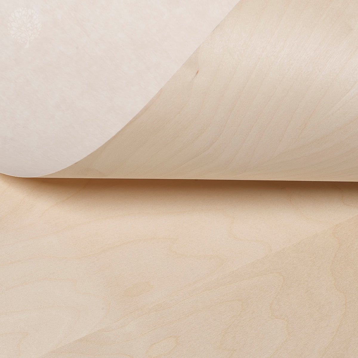 Birch Decoflex Flexible Wood Veneer