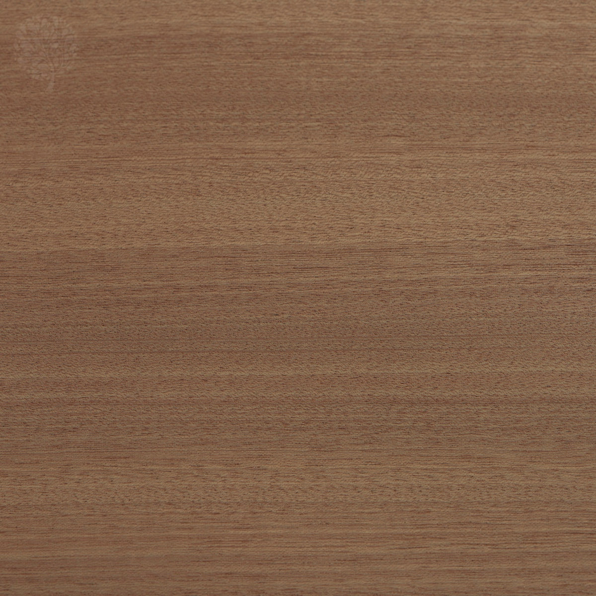 Mahogany Sapele Quarter Cut Decoflex Flexible Wood Veneer