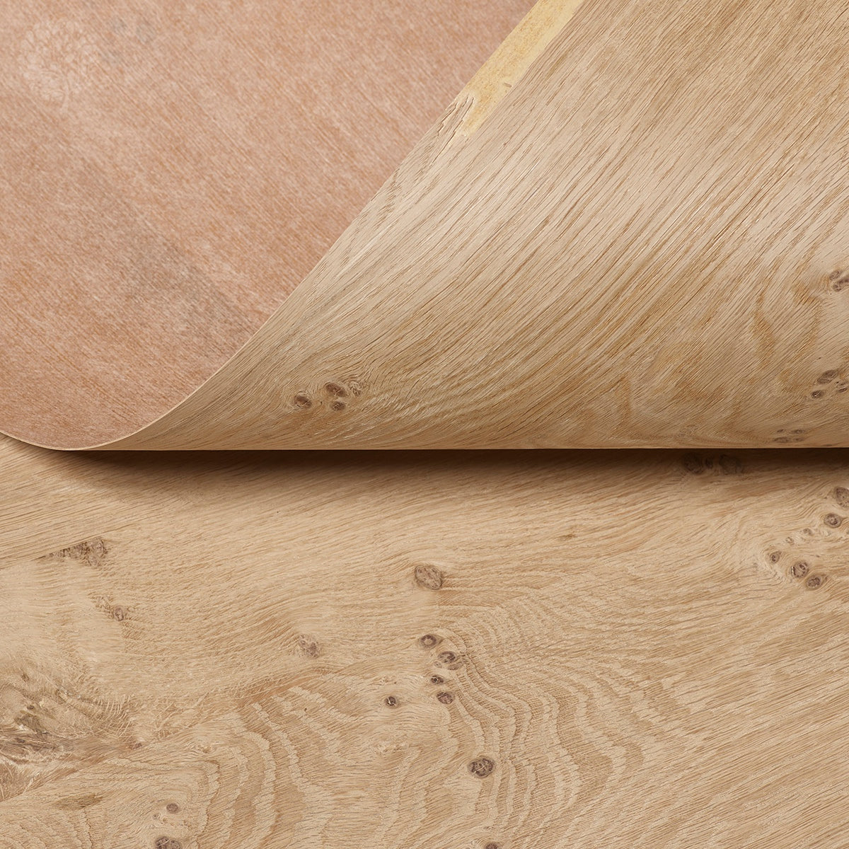 Pippy Oak Crown Paper Backed Flexible Wood Veneer