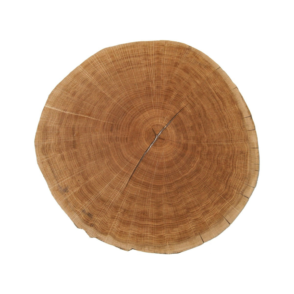 Oak End Grain Wood Veneer
