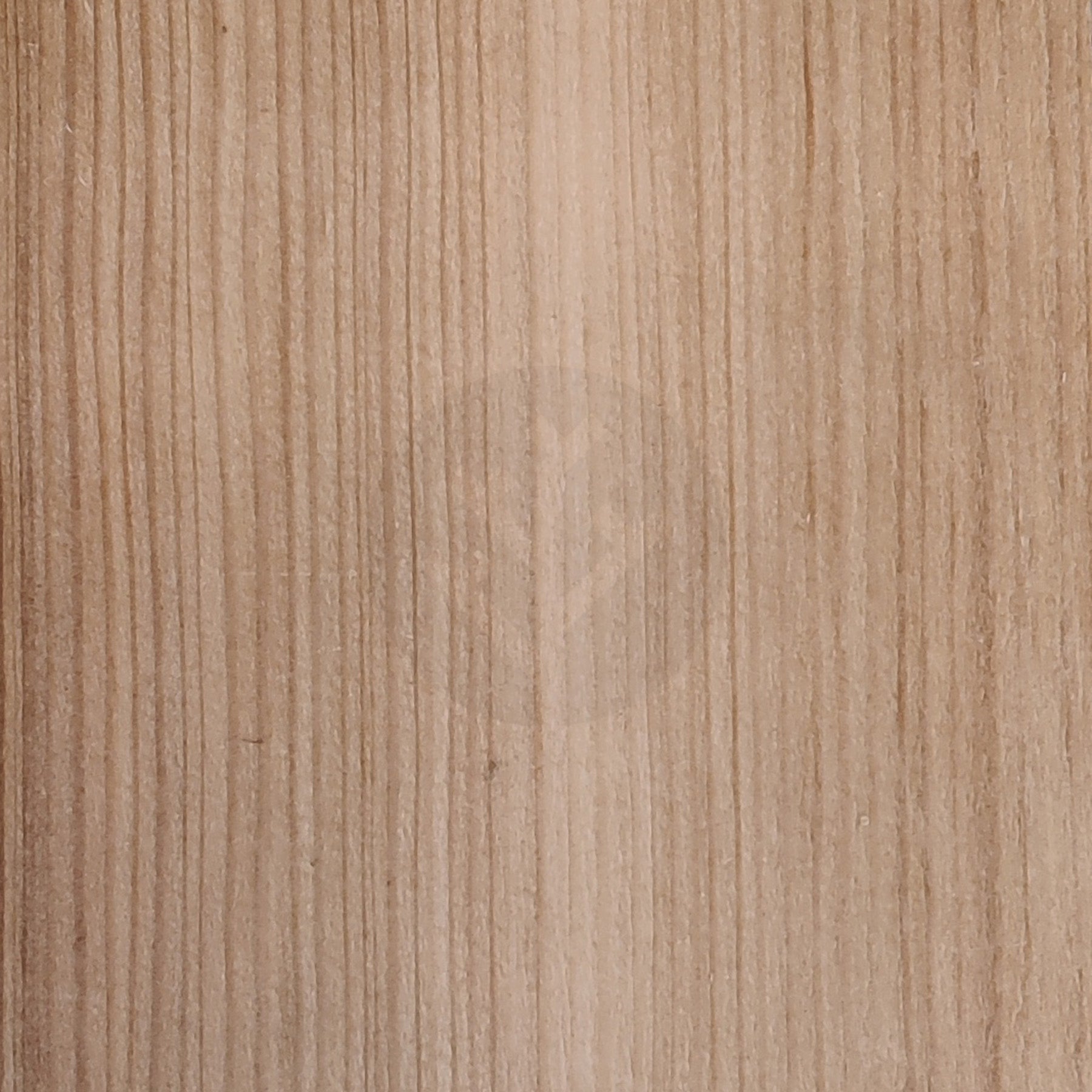 Larch Wood Veneer