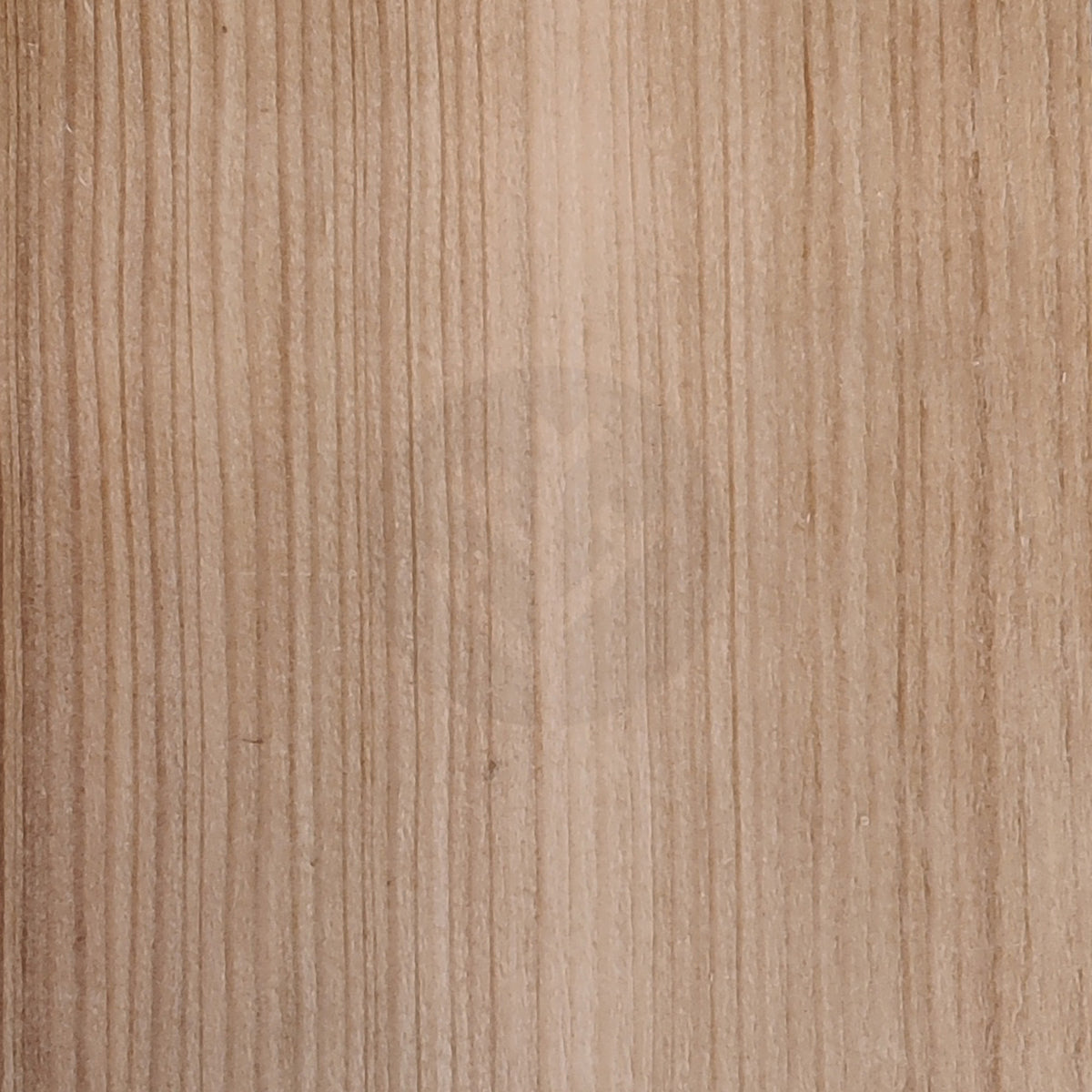 Larch Wood Veneer