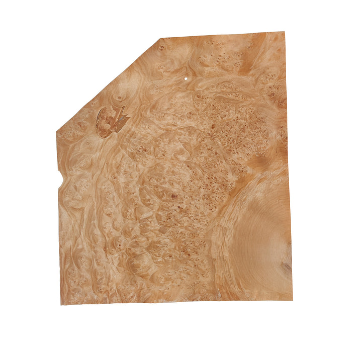 Maple Burl Wood Veneer