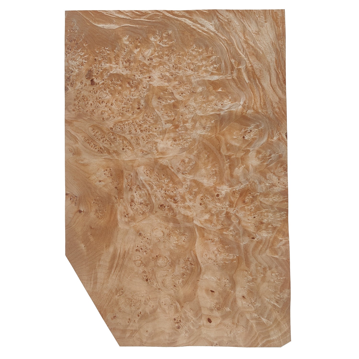 Maple Burl Wood Veneer