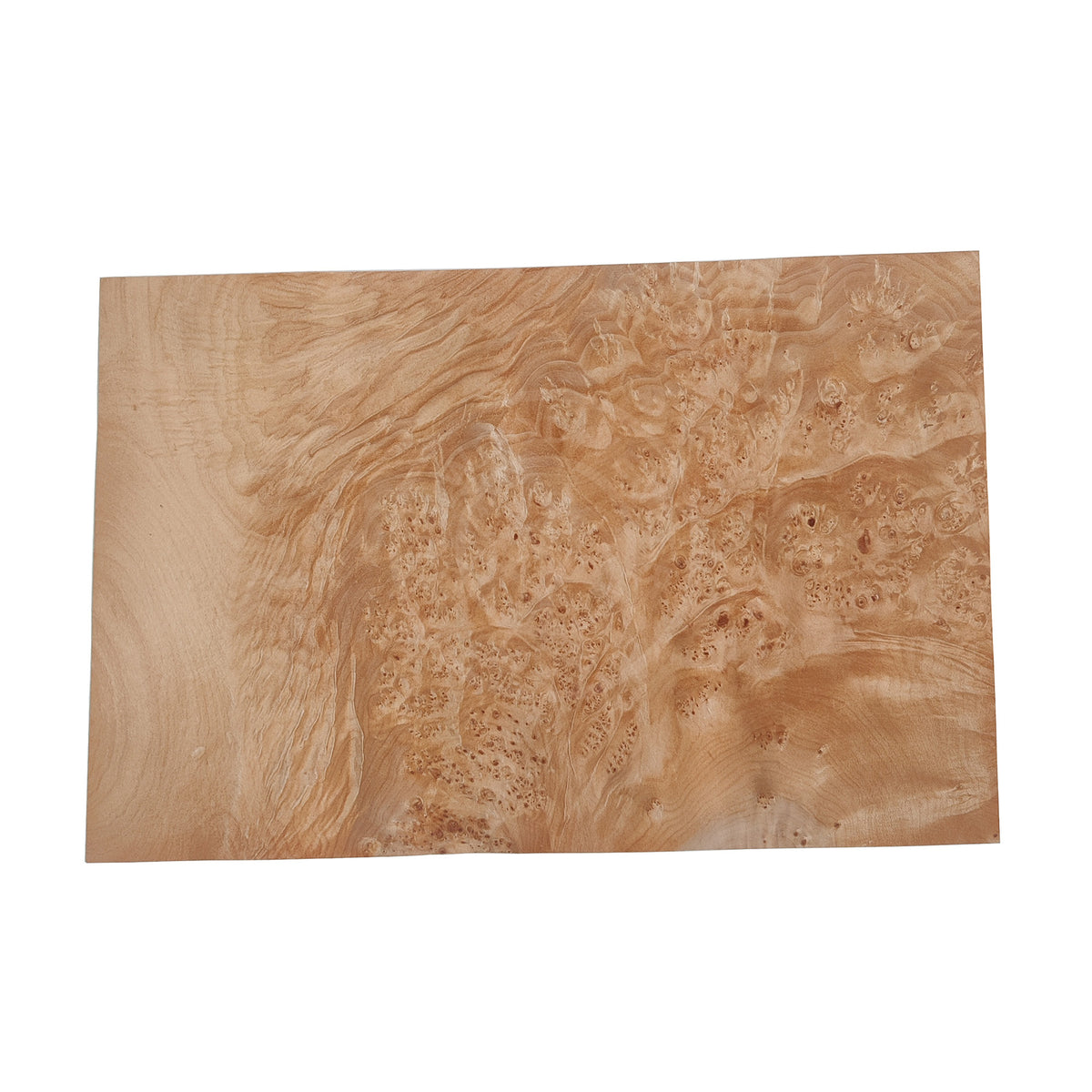 Maple Burl Wood Veneer