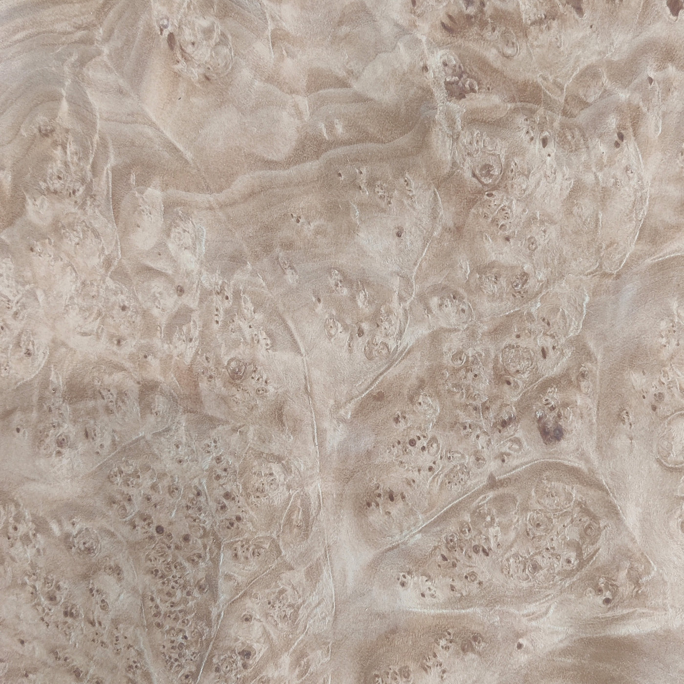 Maple Burl Wood Veneer