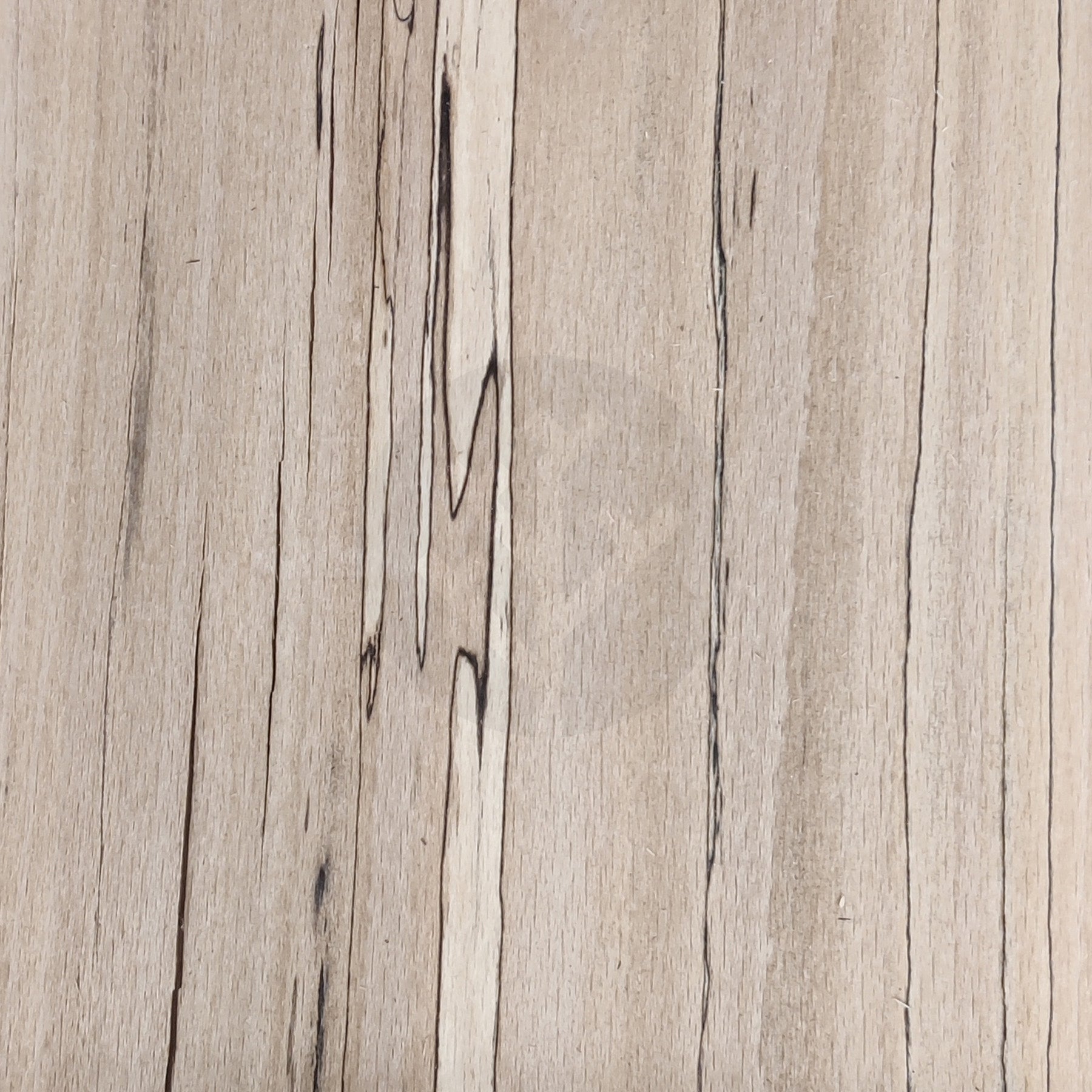 Spalted Beech Wood Veneer