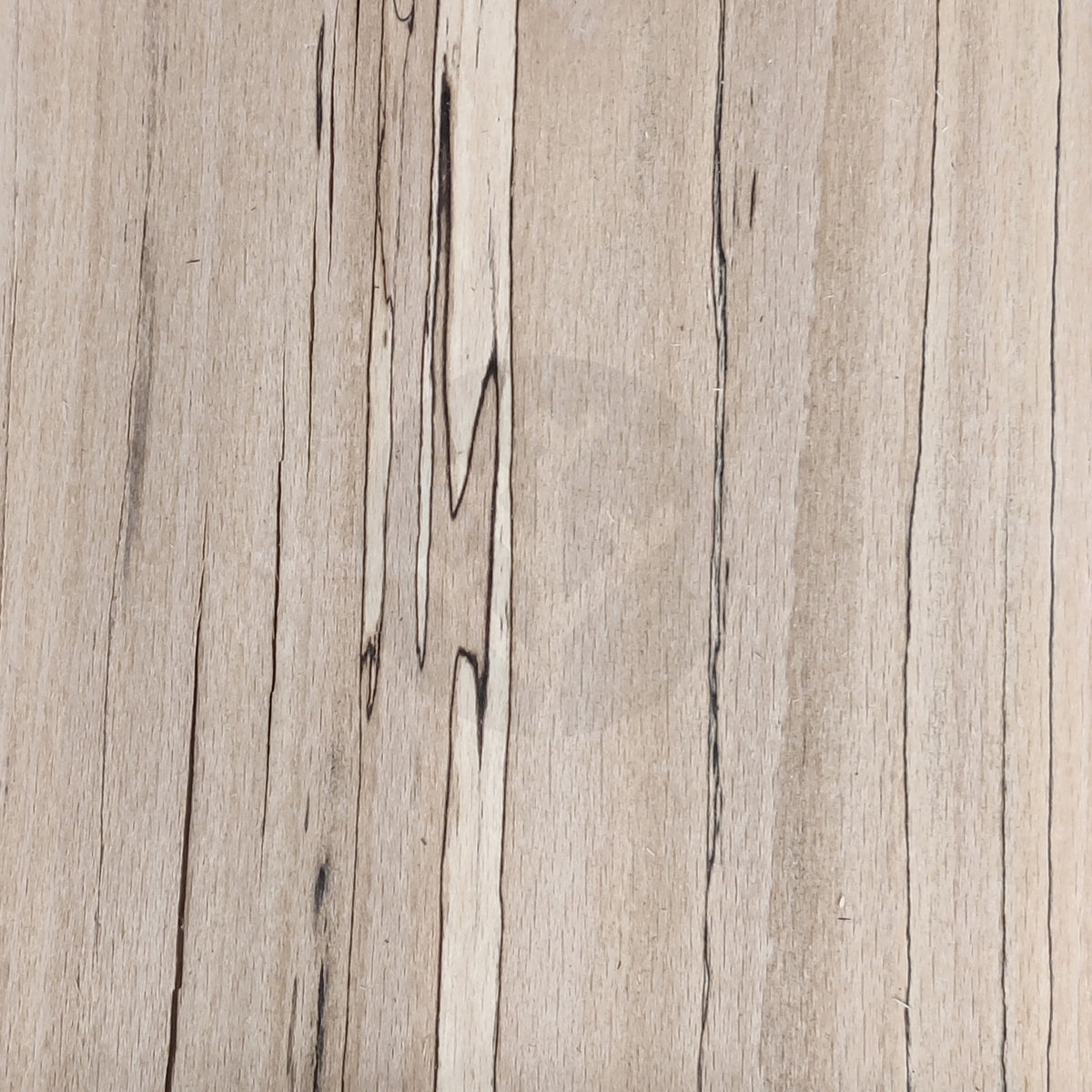 Spalted Beech Wood Veneer